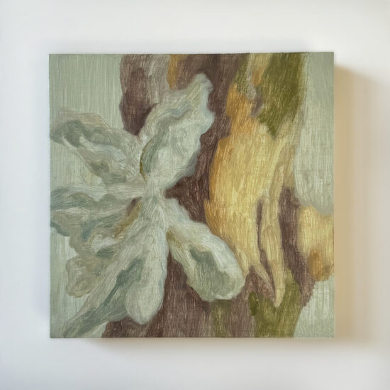 Lichen Cherub, oil on panel, 6x6", 2024