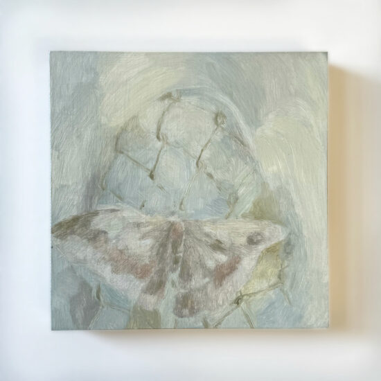 Cecropia Moth Cherub, oil on panel, 6x6", 2024